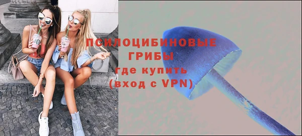 индика Волосово