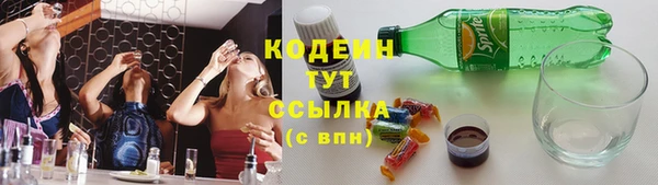 индика Волосово