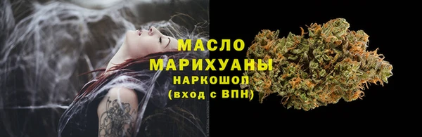 индика Волосово
