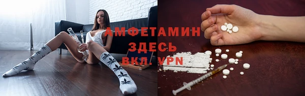 индика Волосово