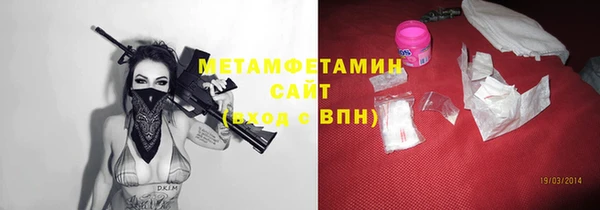 индика Волосово