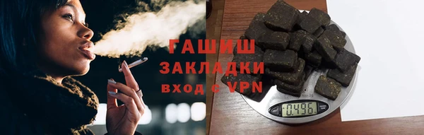 индика Волосово