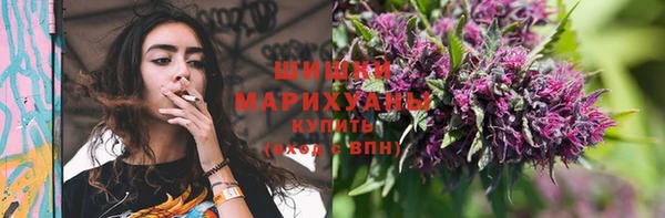 тгк Волоколамск