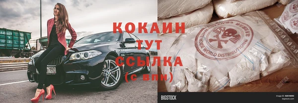 индика Волосово