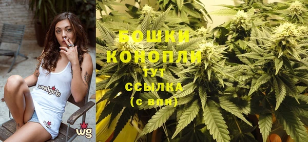 индика Волосово