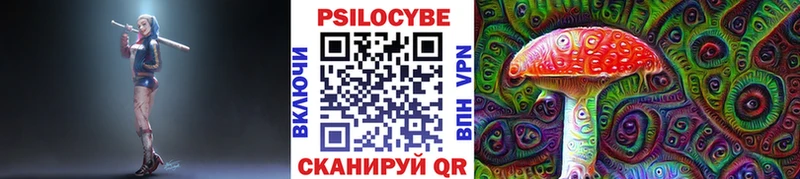 кракен как войти  наркота  Енисейск  Галлюциногенные грибы Psilocybine cubensis 